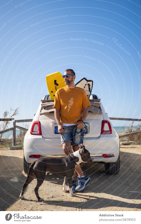 Man with dog on beach man domestic pitbull together friendship male car sunny canine coast daytime smile happy pet owner summer shore guy positive loyal playful