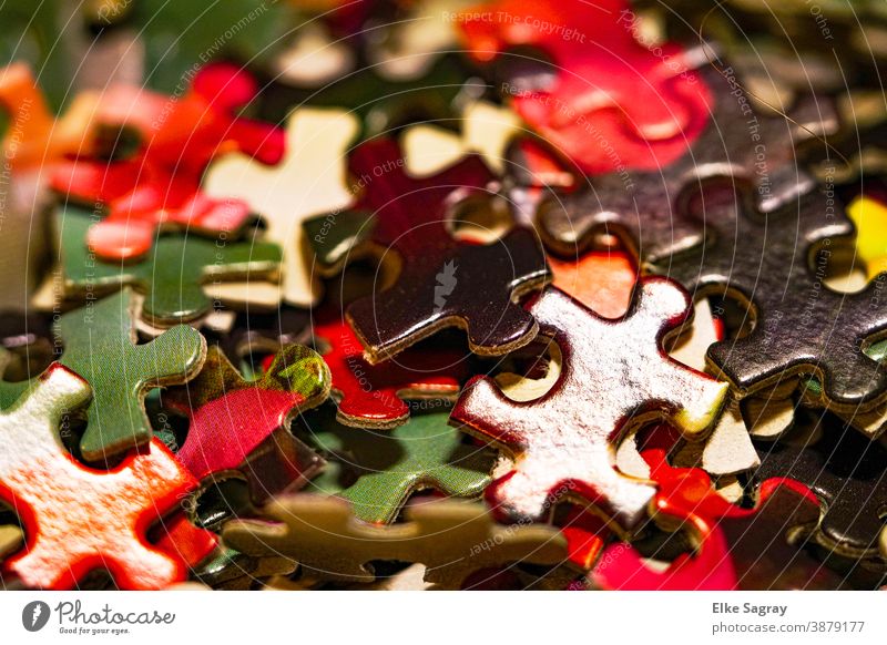 Life is colourful.... Puzzle Colour photo Playing Interior shot Close-up Multicoloured Children's game Leisure and hobbies Shallow depth of field