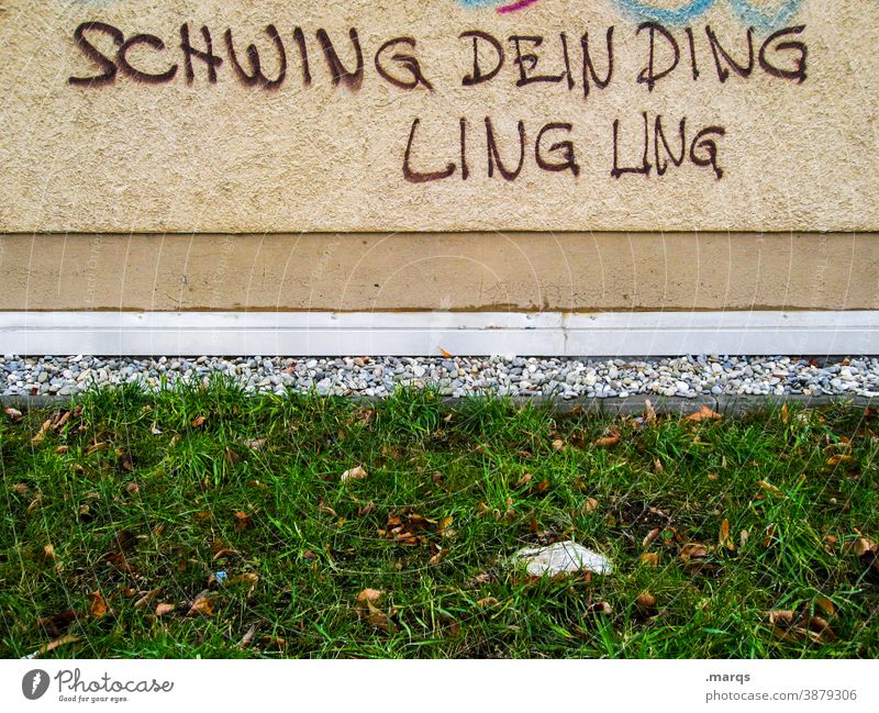 Dept. funny sayings Graffiti street art Wall (building) Wall (barrier) Characters Daub Swing your thing Ling Ling