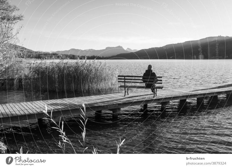 Woman with coat and cap is sitting on a park bench on a jetty. Park bench Footbridge Relaxation Exterior shot Break Nature Sit Autumn Loneliness Calm Water Lake