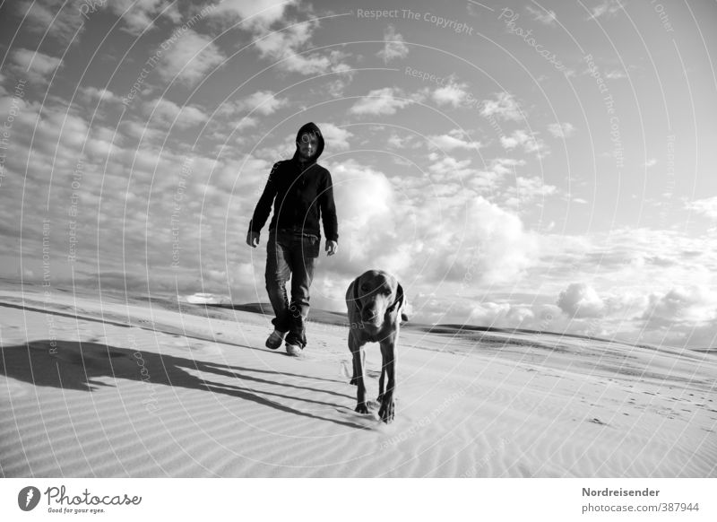 Man with dog on a wandering dune in Denmark Vacation & Travel Adventure Far-off places Freedom Expedition Hiking Human being Adults Elements Sand Sky Climate