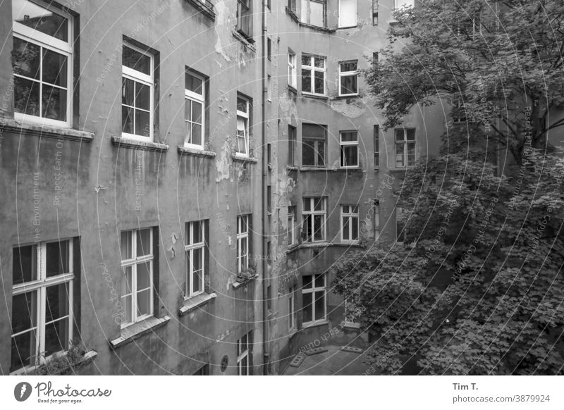 Backyard Prenzlauer Berg . Berlin Courtyard Black & white photo Deserted Town Downtown House (Residential Structure) Day Capital city Old town Exterior shot