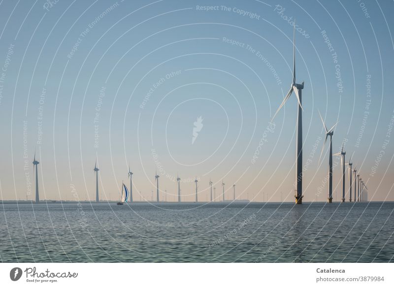 Offshore wind farm in the IJsselmeer with sailing boat Ocean Water Ijsselmeer windmills offshore wind farm Landscape Horizon sailing yacht Sky Day daylight