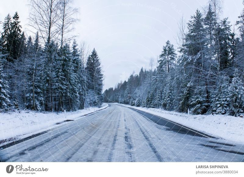 Snowy road in winter forest. Beautiful frosty white landscape. snowy season ice scene christmas tree day car freeze outdoor background weather light woods park