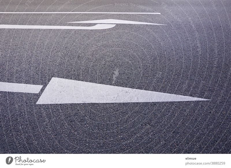 on a grey asphalt road, a white arrow indicates the straight ahead lane, another one indicates the left turning lane / lane marking / orientation / decision