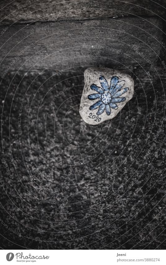 Stone in the street | painted with a blue flower | inscribed with the number 2020 Painted Art Memory writing Flower Blue Creativity Year date corona Blue flower
