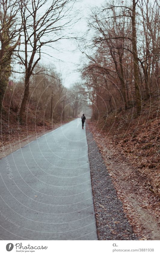 runners Walking Jogging Jogger Runner Sports Winter Lanes & trails Gloomy Target on one's own Loneliness Escape recreational sport Forest trees off Nature