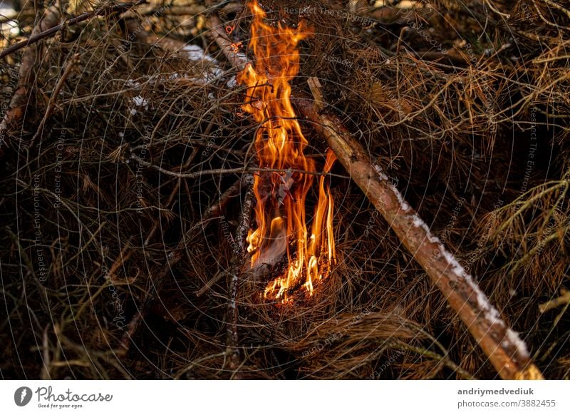 Stacked Firewood Background Stock Photo, Picture and Royalty Free Image.  Image 39817274.