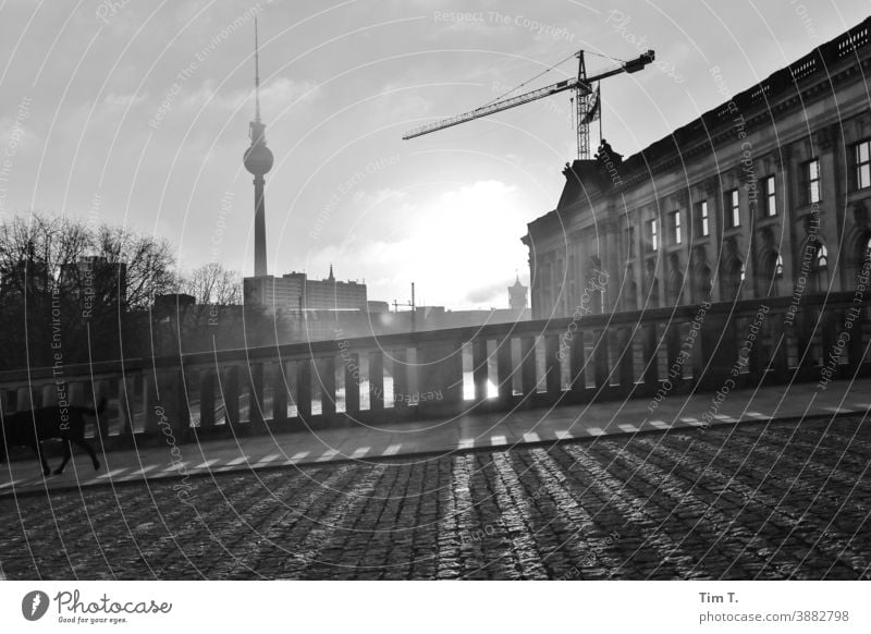 Winter in Berlin Mitte on the Spree . The morning sun casts shadows. river River Water Capital city Exterior shot Town Deserted Downtown Tourist Attraction