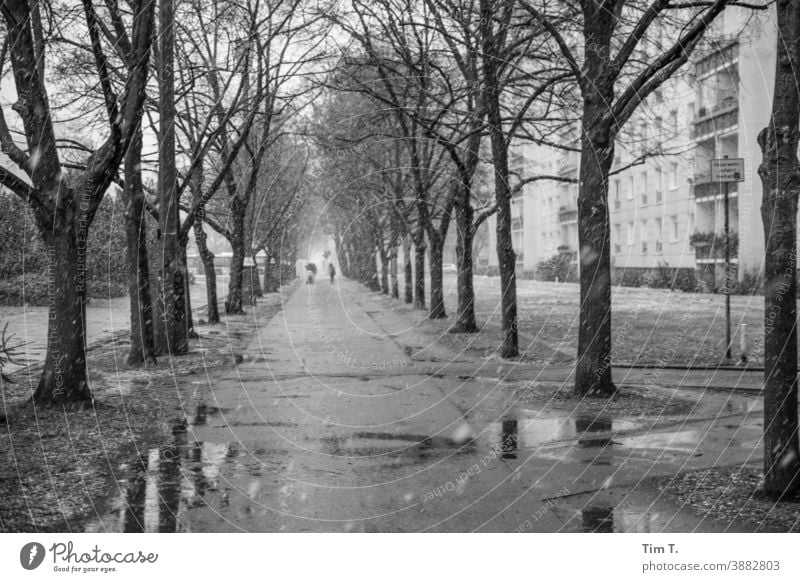 Winter in the Frankfurter Allee . A wet and cold sidewalk . Berlin Street Black & white photo Prefab construction Capital city Exterior shot Snow