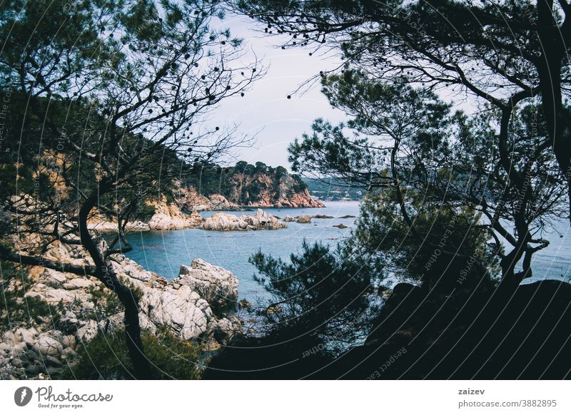 Landscape of a steep coast framed by some tree silhouettes costa brava calella de palafrugell palamós landscape views sea water mediterranean catalonia trees