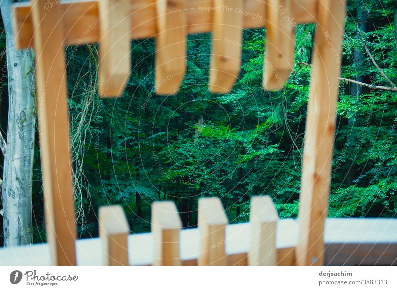 An exceptional view of the forest. A sawed out central paling fence with a beautiful view, from a viewing platform over the green forest. Steigerwald