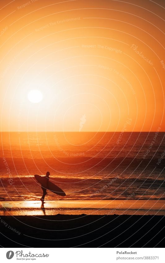 #A0# Surfer's paradise Romance Sunset coast Man Lifestyle Athletic Water Timeless To enjoy Energy spiritually Spirituality Snapshot tranquillity Idyll