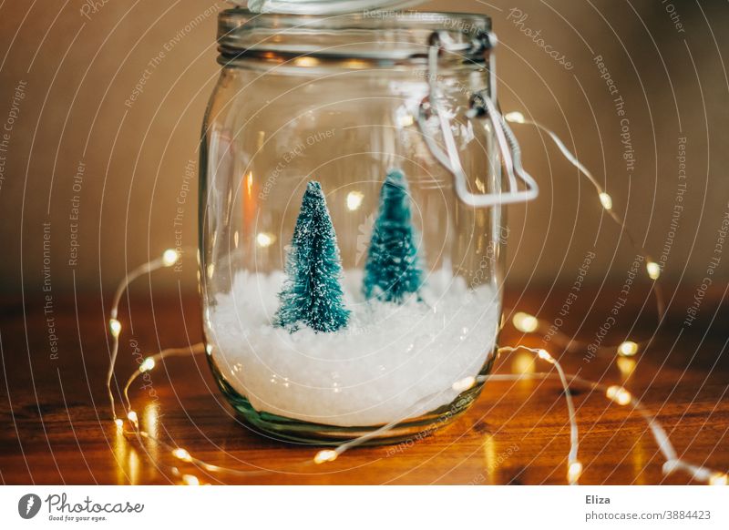 White Christmas - Two small Christmas trees on snow in a jar with lights Christmassy Christmas decoration fir trees Snow Preserving jar Snowglobe Fairy lights