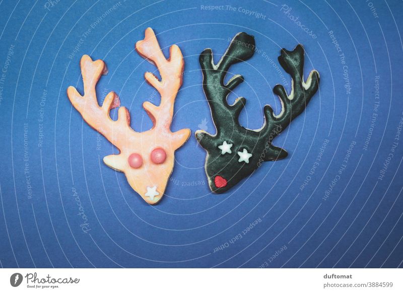 two cookies in deer shape Cookie Christmas Baking stag antlers cute Christmas & Advent Baked goods Delicious Christmas biscuit Nutrition cookie dough