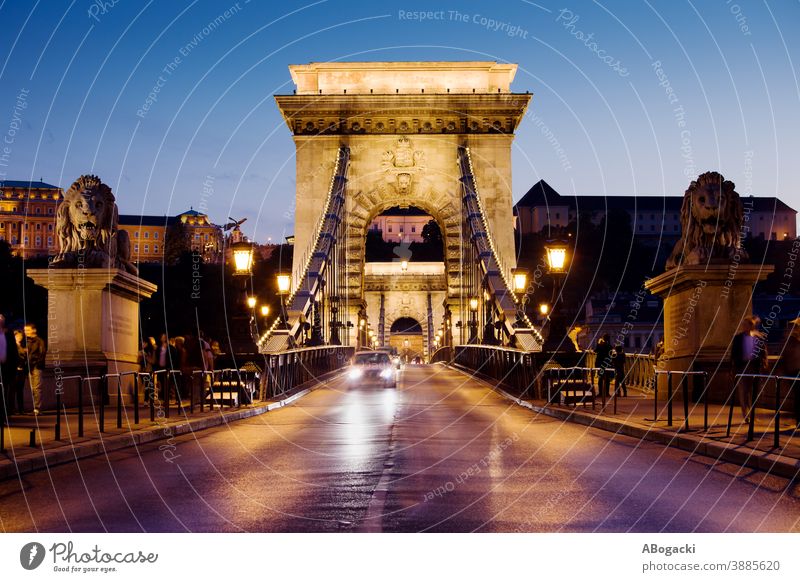 Chain Bridge at Night in Budapest, Hungary budapest night street chain bridge szechenyi city hungary evening dusk twilight urban scenery traffic lights