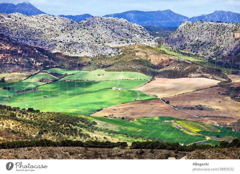 Andalusia Landscape In Spain agriculture andalucia andalucian andalusia andalusian beautiful country countryside cultivated environment europe farm farmland