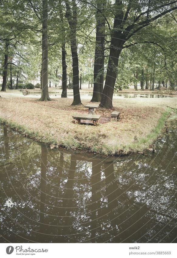 Petrified furniture Park trees Water plants Exterior shot Colour photo Deserted Forest Plant Green Idyll Tree Nature Reflection Landscape Lake Day Sky Calm Pond