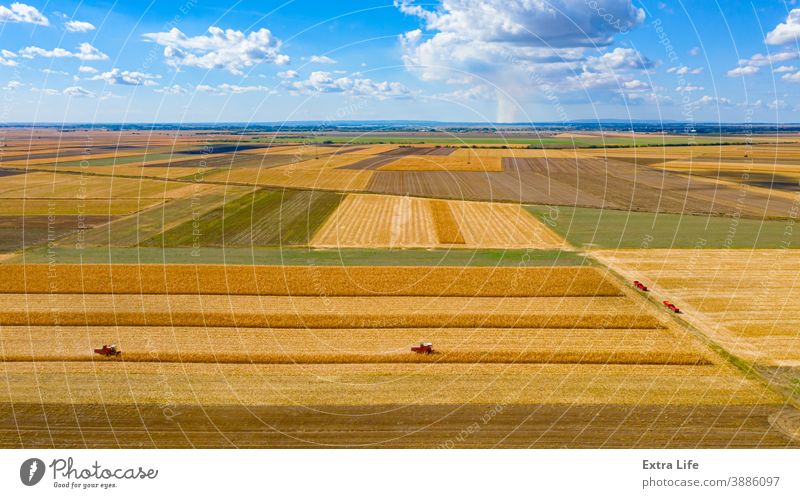 Above view on two combines, harvester machines, harvest ripe maize and blue sky with white clouds Aerial Agricultural Agriculture Cereal Clouds Cloudscape
