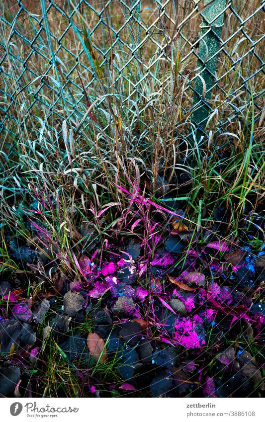 Sprayed nature variegated Colour colored holidays Garden sprayed Grass Border Autumn allotment Garden allotments Wire netting Wire netting fence Deserted