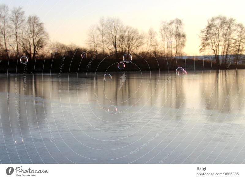 Soap bubbles over the frozen lake in the morning sun Winter soap bubbles Lake Frost Ice Frozen Light Shadow Back-light Landscape Nature Environment Morning