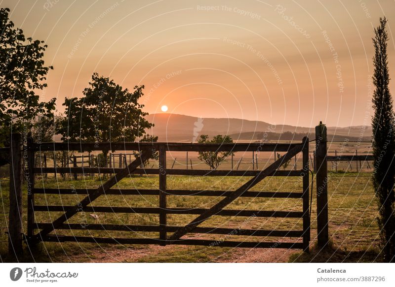 The sun rises behind the hill, still the gate to the pasture is closed Landscape Nature Sun Sunrise Morning Summer Twilight trees Hill Sky Horizon Fence Goal