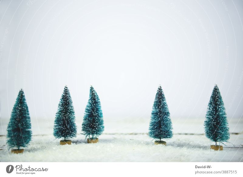Christmas - Christmas trees miniature in a snowy landscape fir trees Snow Miniature Winter Winter mood winter Winter's day White Winter forest