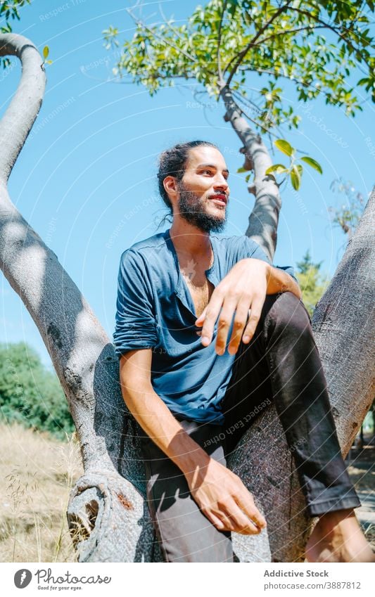 Ethnic man resting on tree in nature hippie forest relax carefree freedom sunny summer male ethnic trunk sit daytime harmony enjoy calm idyllic peaceful guy