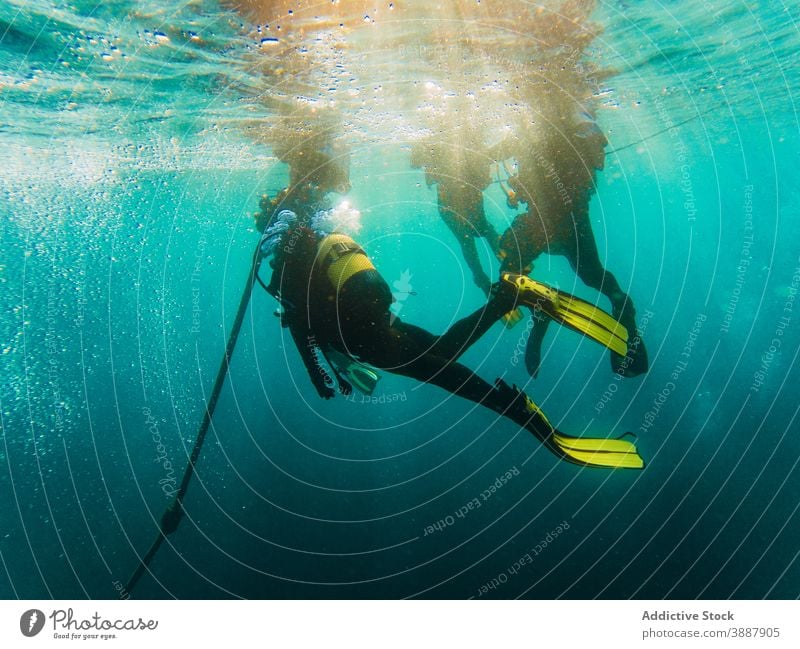 Divers swimming in deep ocean among aquatic vegetation underwater fish nature sea colorful background blue environment tropical adventure scuba dive vacation