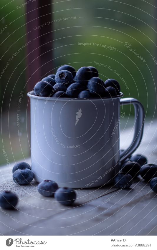 Blueberries in tin cup in window light antioxidant background Berries Blueberry Board Bowl Close-up copyspace Cup Dark Delicious Dessert Detox Diet Food Fresh