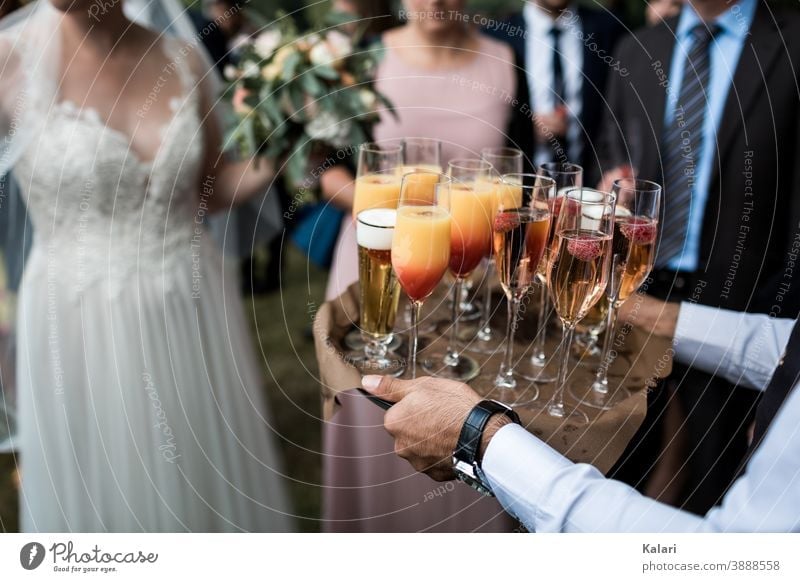 Waiter in shirt carries tray with aperitif at wedding, bride in background Tray Sparkling wine Champagne glass Alcoholic drinks Prosecco Shallow depth of field