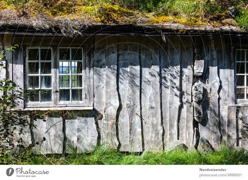 Cozy wooden house in the wilderness of Norway Contrast Deserted Day Light Shadow Exterior shot Colour photo Life Ecological Sustainability Wooden house