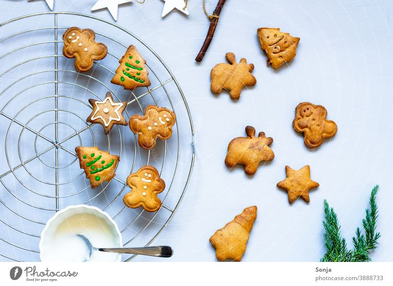 Gingerbread biscuits decorated with icing on a grid Cookie Icing Metal grid baked Christmas & Advent Self-made Decoration Public Holiday Baking Tradition cute