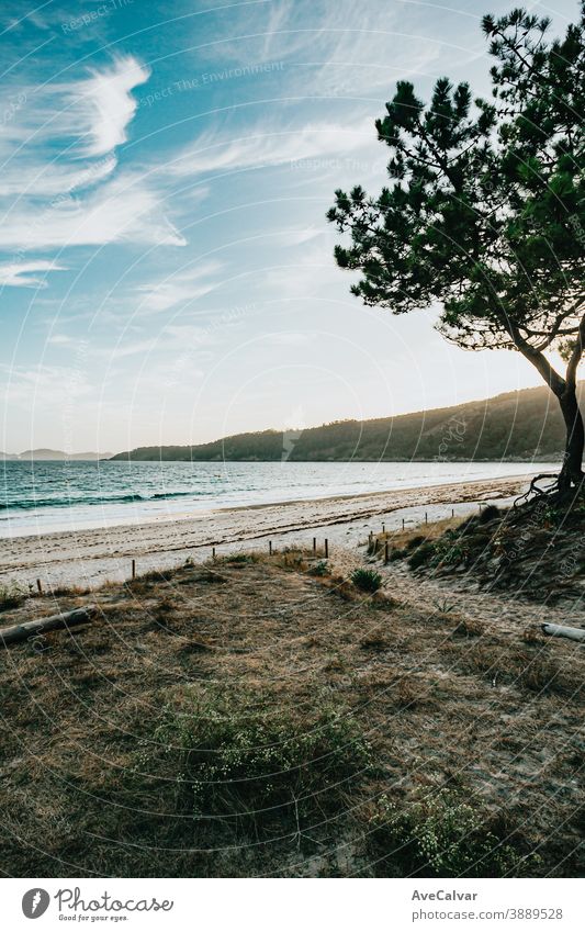 View of the beach from the forest scenic nature tree ocean calm vacation holiday sky idylli water scenery sunny lagoon landscape bay tropical coast summer