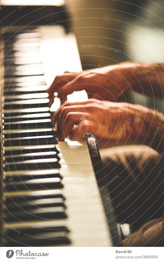 Practice makes perfect - man plays piano Play piano Piano Music hands exercise makes perfect Success Ambitious Disciplined discipline Pianist Musician talent