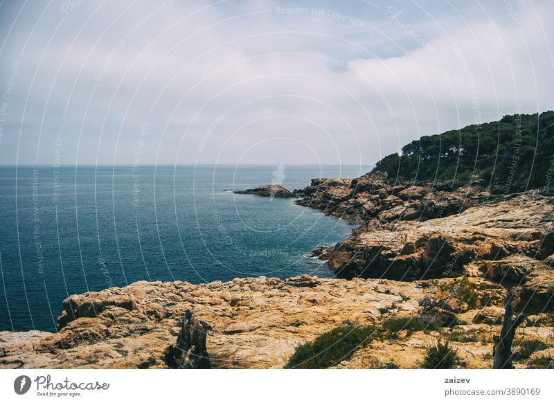 Landscape of the Costa Brava in Catalonia, Spain. With a blue sea costa brava calella de palafrugell llafranc tamariu catalonia spain without people outdoor
