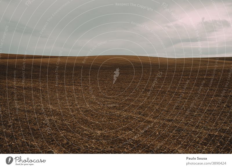 Plowed field Agriculture agricultural Day Colour photo Environment Landscape Exterior shot Sky Earth Nature Field Brown Clouds Copy Space top Horizon