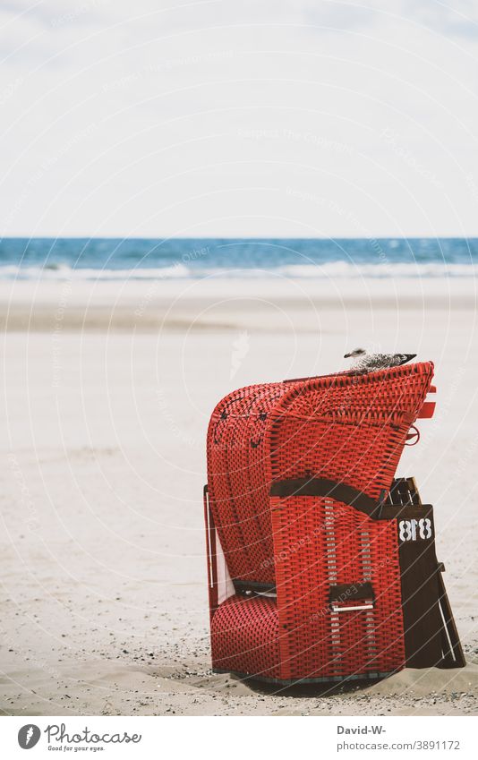 Beach chair with seagull on the beach Vacation & Travel tranquillity Seagull Ocean North Sea Baltic Sea Relaxation coast