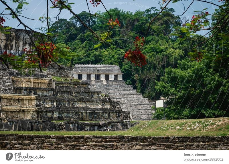 Temple of the inscriptions and palace at the archaeological Mayan site in Palenque, Chiapas, Mexico palenque maya ancient mayan tourism travel mexico stone
