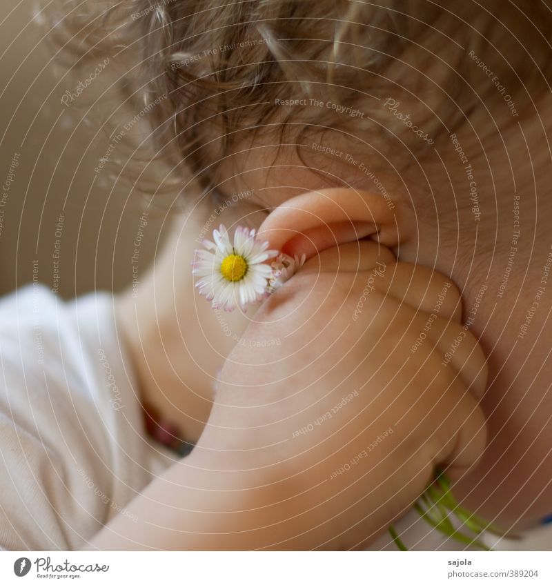 Do you hear what the daisies are whispering? Human being Child Toddler Ear Hand 1 1 - 3 years Plant Flower Daisy To hold on Listening Colour photo Interior shot