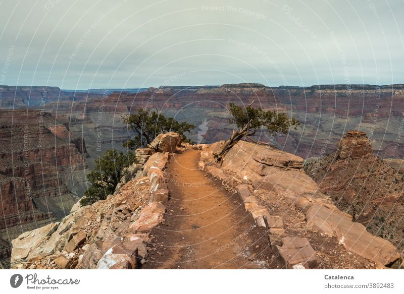 The narrow path into the abyss, hiking trail at the Grand Canyon paths and paths Hiking trails Nature Landscape Plants conifers Jawbone stones Rock