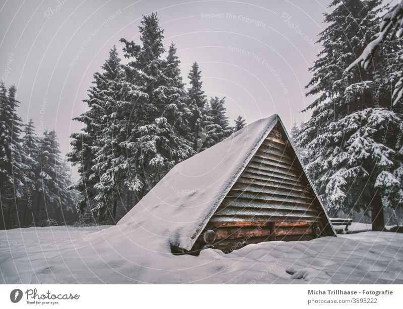 Snowy hut in the Thuringian Forest Thueringer Wald Schneekopf snowy Winter winter landscape Hut Wooden hut refuge trees Sky vacation Landscape Nature