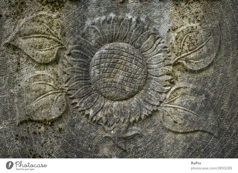Picture of a sunflower on a weathered gravestone. Cemetery Prayer Follower Belief prayer graveyard Death death Grief mourning religion consolation confident