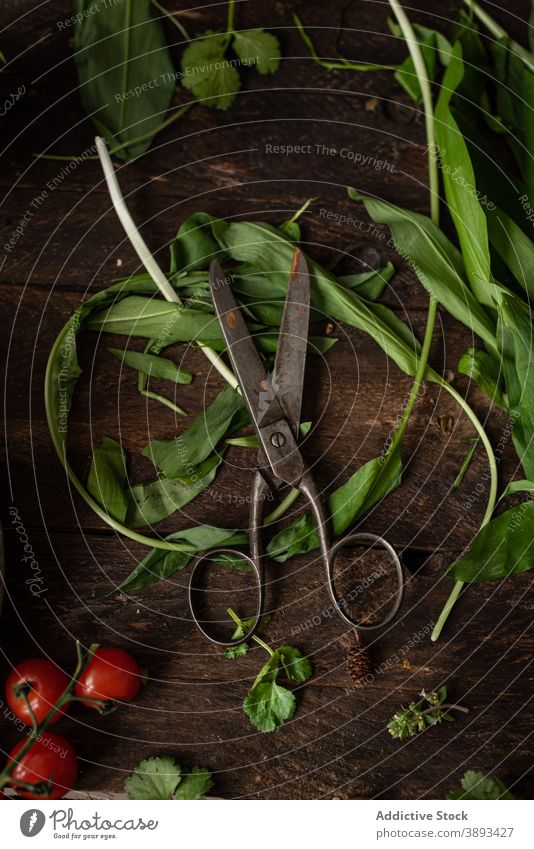 Fresh herbs and vegetables on table salad green leaf food various organic natural healthy fresh radish tomato raw edible harvest plant vitamin nutrition