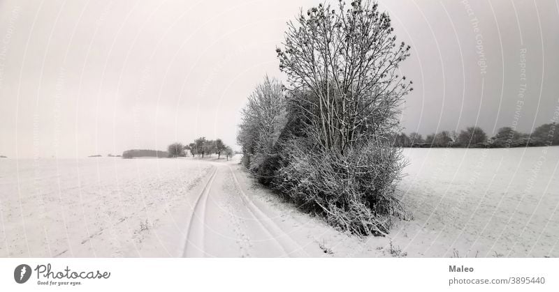 Winter rural landscape with freshly fallen snow background beautiful beauty branch building christmas cold country countryside drift footpath forest frost