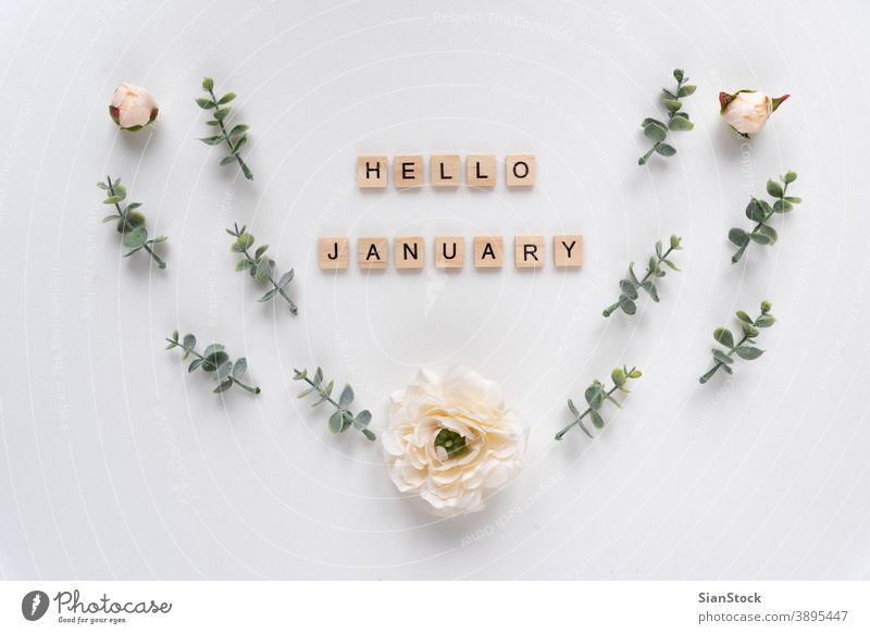 Hello January words on white marble background january hello alphabet concept text greeting wood month wooden message design business year new happy decoration