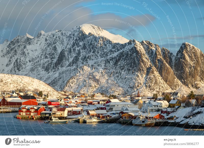 Pure on the Lofoten in the sunlight in front of snowy mountains Reine Lofotes Norway Scandinavia Fishing village Village location Place Small Town Mountain
