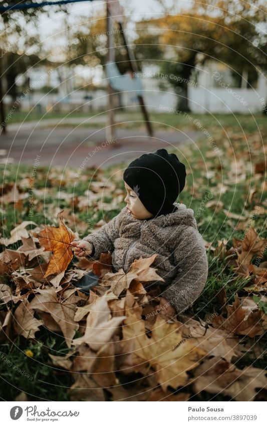 Toddler playing with autumn leaves Child childhood Caucasian 1 - 3 years Human being Colour photo Infancy Exterior shot Happiness Happy Day Lifestyle Joy