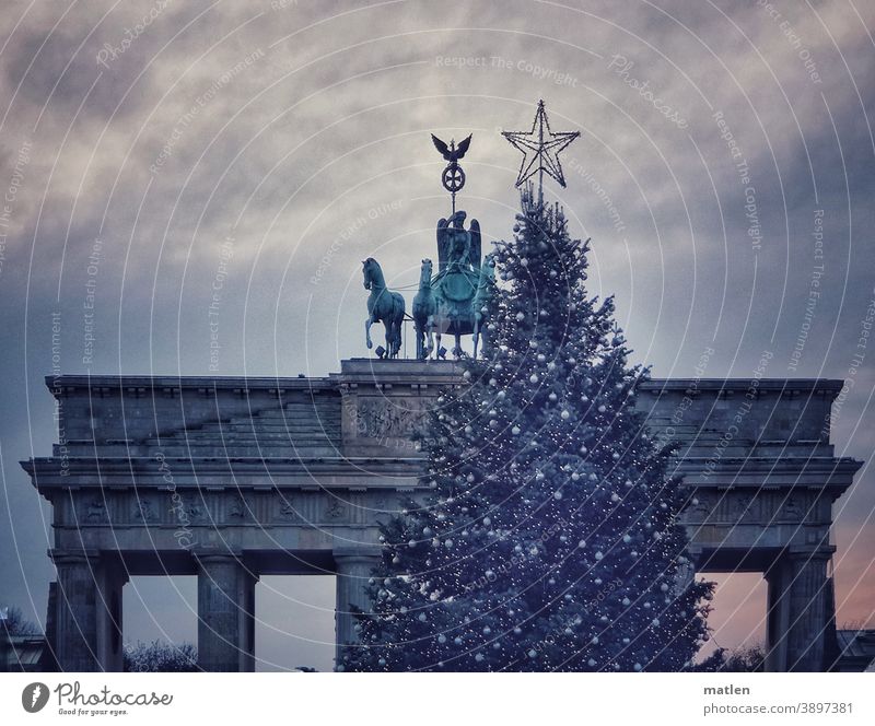 Quadriga follows the star Berlin Brandenburg Gate Capital city Tourist Attraction Downtown Berlin Star (Symbol) Christmas tree Adorned Sky Clouds Twilight