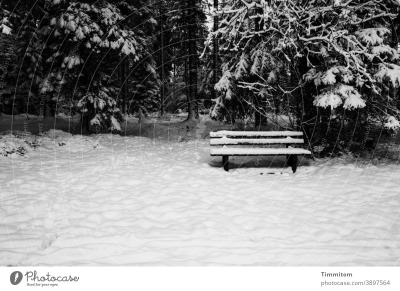 A snow-covered bench invites you to linger Winter Snow Forest trees Black Forest Nature Cold White Black & white photo Deserted off Tracks